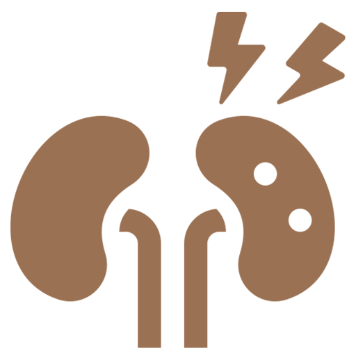 Kidney icon
